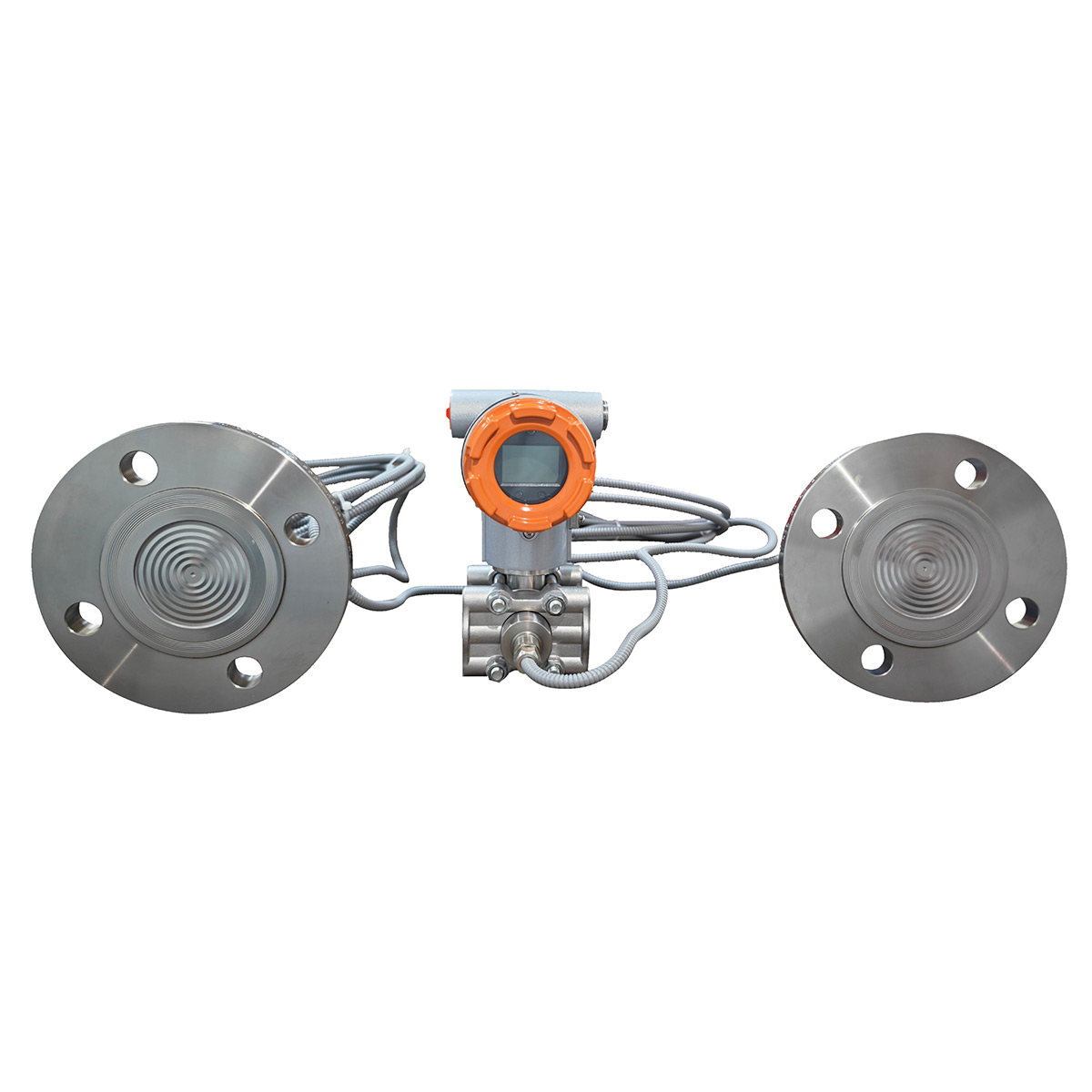 HD3105LS Dual Flange Differential Pressure Transmitter for Closed Tank Level