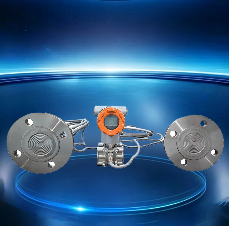 HD3105LS Dual Flange Differential Pressure Transmitter for Closed Tank Level