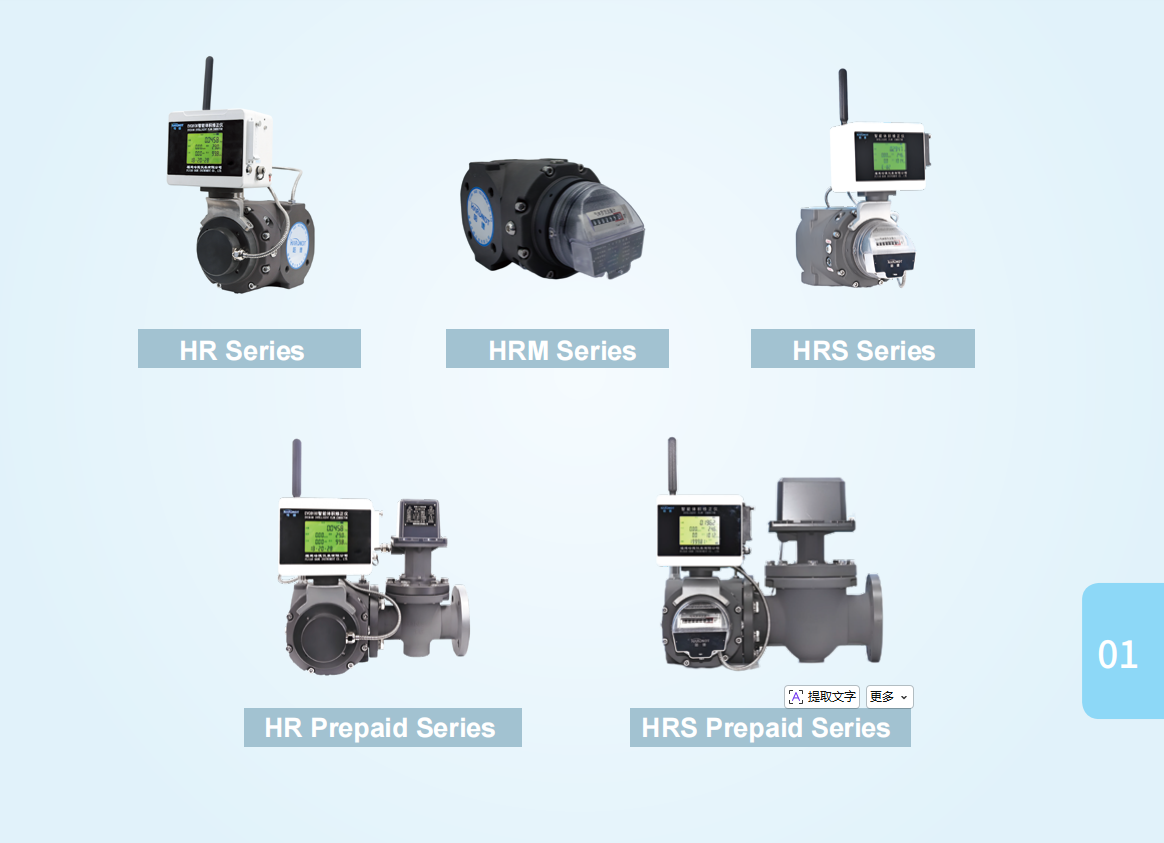 Hade Gas Roots Flowmeter: A Reliable Choice for Small to Medium Flow Gas Measurement